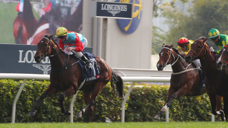 有片 | 嘉應(yīng)高昇勇奪香港短途錦標(biāo) 潘頓：全程力拼未有機會放鬆