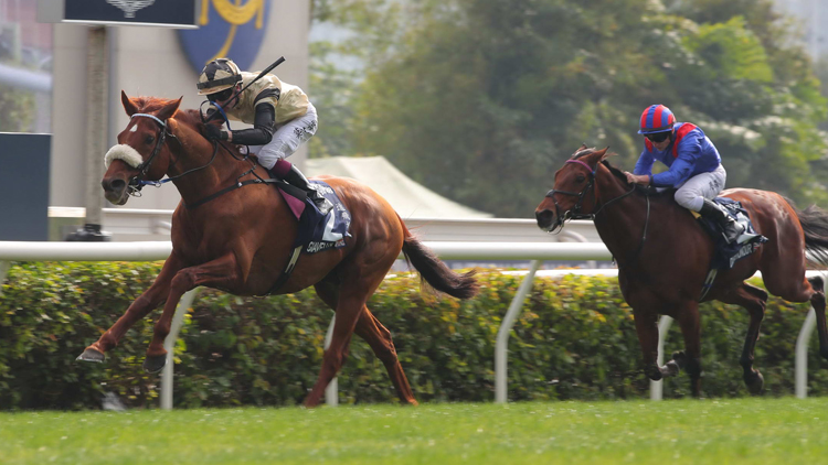 有片 | 遨遊氣泡勝出香港一哩錦標(biāo) 姚本輝：馬房團隊居功至偉