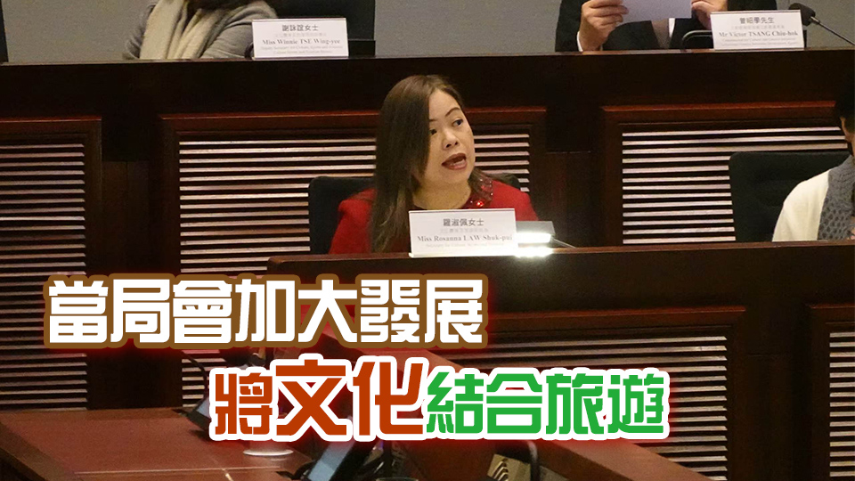 羅淑佩首度以局長身分到立法會(huì) 解說《文藝創(chuàng)意產(chǎn)業(yè)發(fā)展藍(lán)圖》
