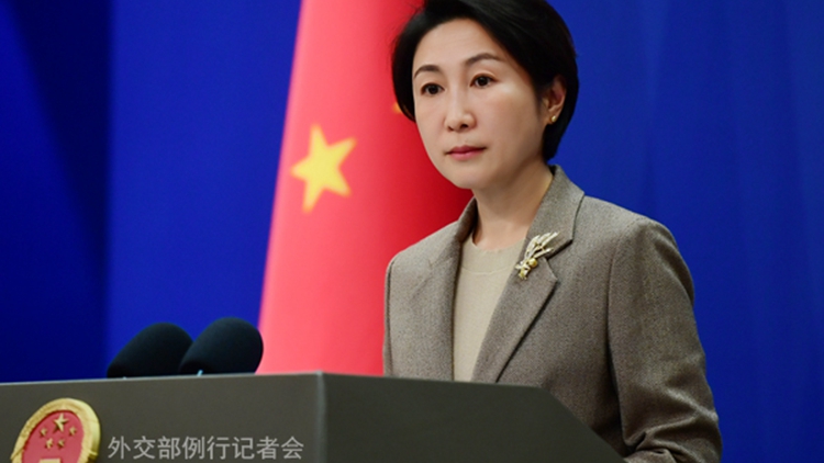 外交部：大蒜做夢都想不到竟能對美國構(gòu)成「極大威脅」