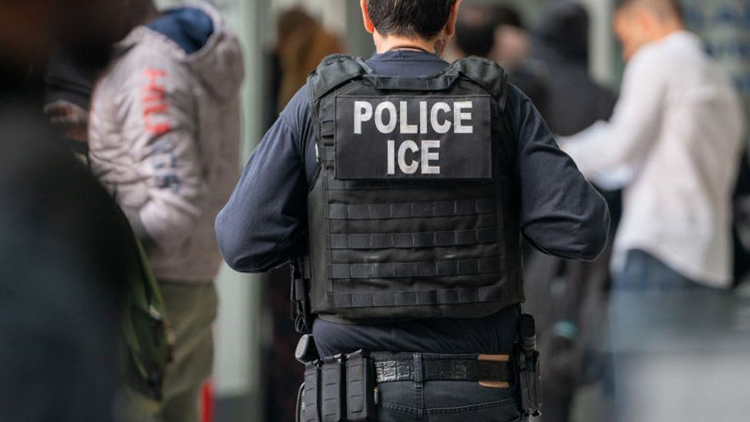 來美國參加個婚禮就被捕了？特朗普的移民政策能落地嗎？