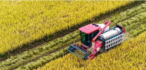 中國(guó)糧食年產(chǎn)量首次邁上1.4萬(wàn)億斤新臺(tái)階 