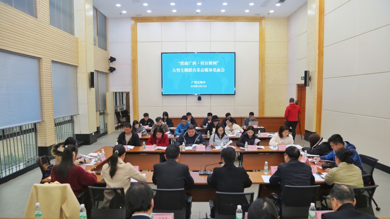 有片 | 桂北海為經(jīng)濟高質(zhì)量持續(xù)注入「營商力量」