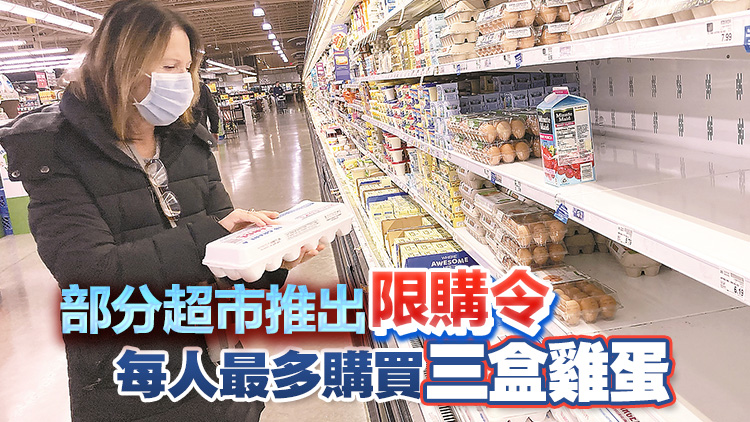 供需緊張致蛋價飆升近四成 美國聖誕節(jié)或臨雞蛋荒