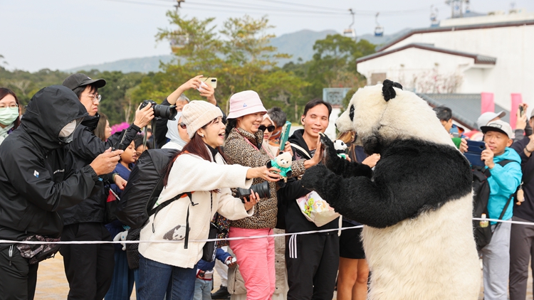 大熊貓導(dǎo)遊PANDA GO！GUIDE現(xiàn)身昂坪360 與遊客熱情互動