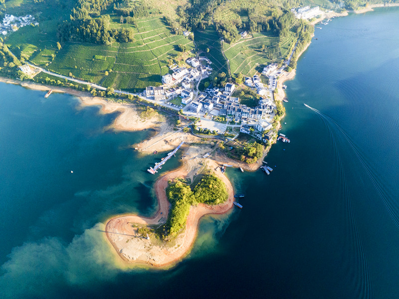 澎湃「競渡」之路   皖黃山區(qū)輪渡村繪就和美新畫卷