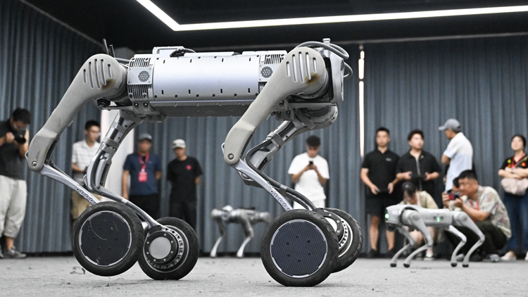 【計(jì)出新角度】機(jī)器狗的發(fā)展