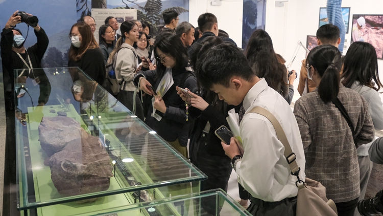 香港文物探知館「恐龍會(huì)客室」展出赤洲恐龍化石 明起開放 免費(fèi)入場(chǎng)