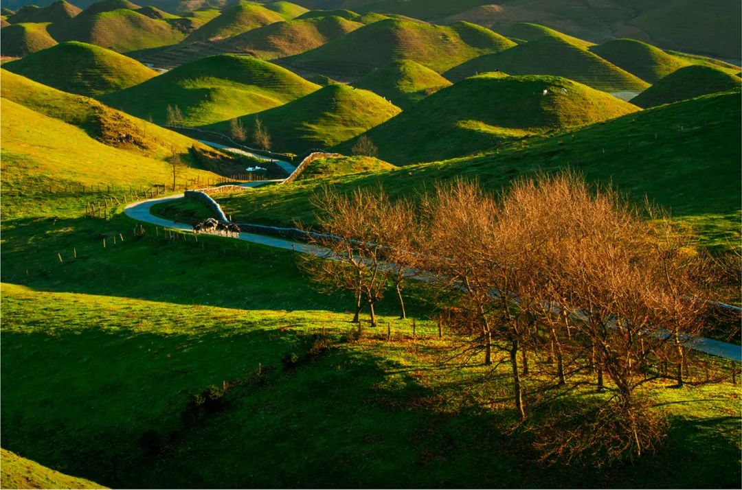 探索雙贏之道，綠色邵陽綻放金光