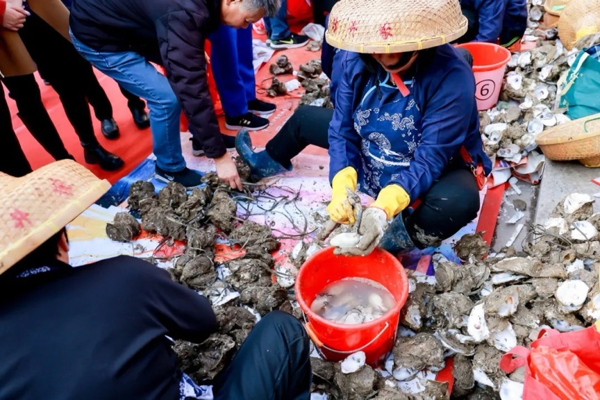 為期13天！第二十一屆寶安區(qū)沙井金蠔美食非遺民俗文化活動開啟