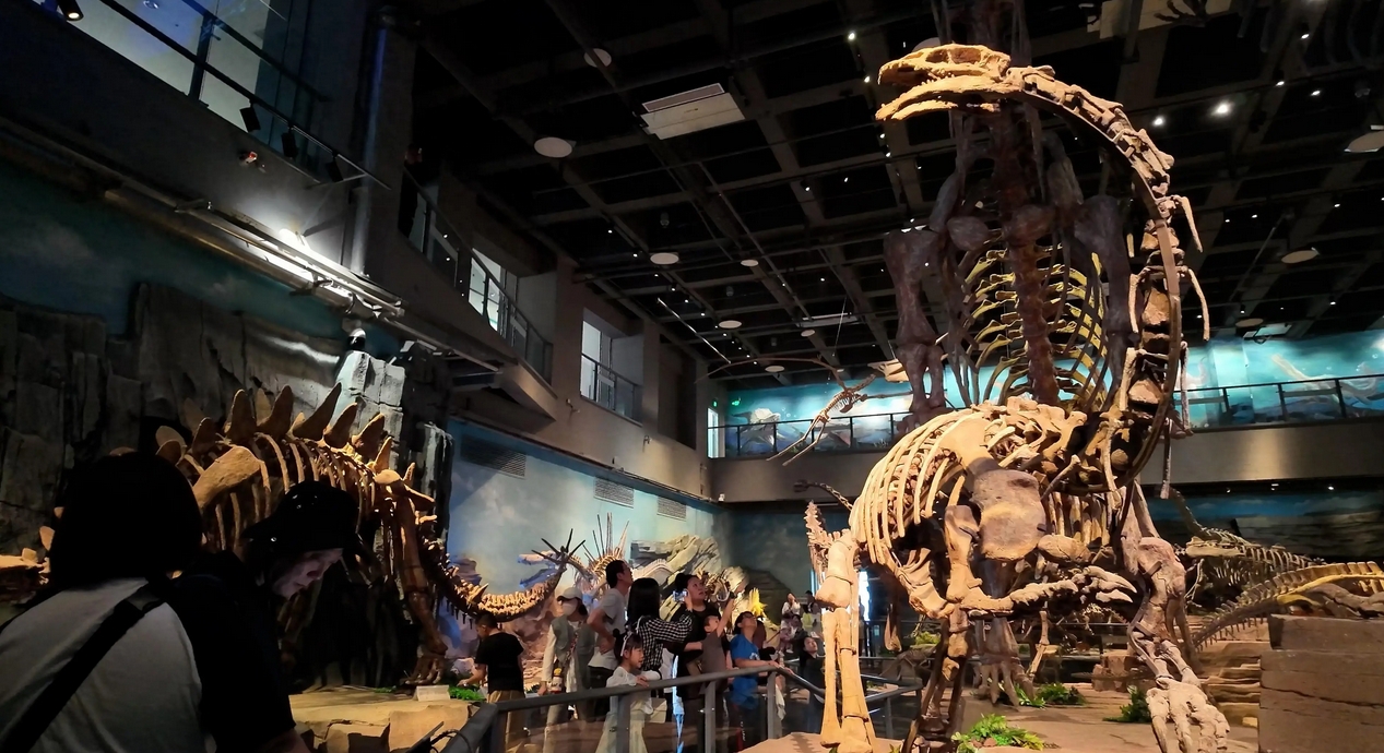 新研究：恐龍滅絕主因並非大規(guī)?；鹕奖l(fā)，而是小行星撞擊地球 