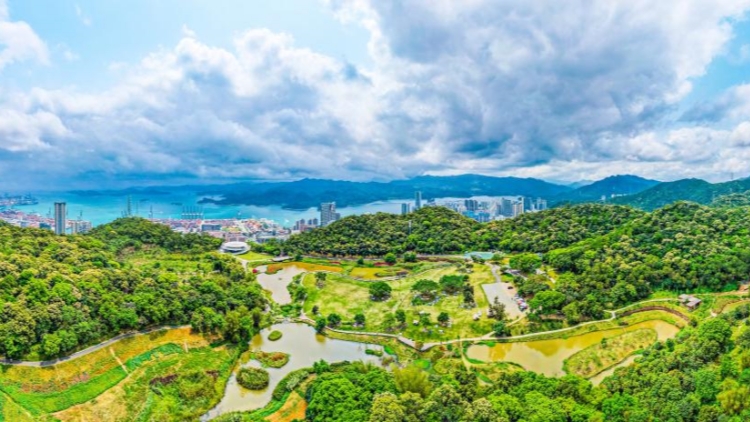 深港自然教育聯(lián)動催發(fā)新商機(jī)