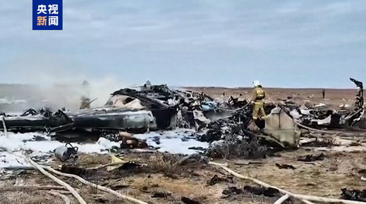 38人遇難29人生還 阿航客機墜毀或因撞上飛鳥？調查仍在進行