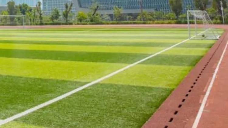 深圳695所學(xué)校開放運(yùn)動場地