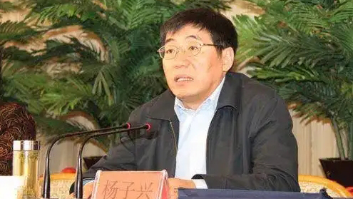 甘肅省政府原黨組成員、副省長楊子興被決定逮捕