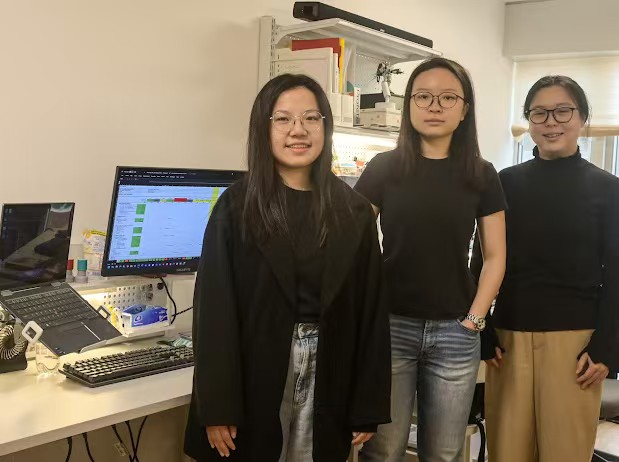 Alpha Business 打造中小企會計服務(wù)新標(biāo)準(zhǔn)