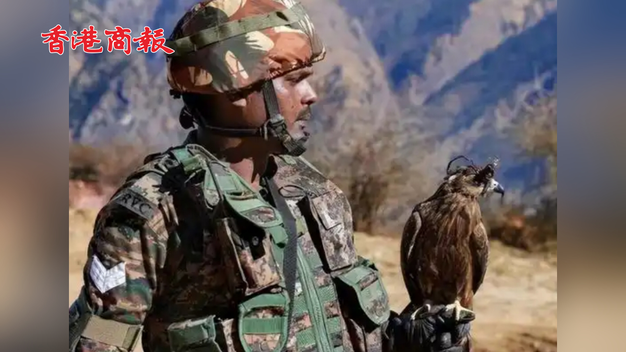 有片丨印警方用鳥攔截?zé)o人機(jī) 「五鳥小隊(duì)」會在空中拋撒網(wǎng)罩