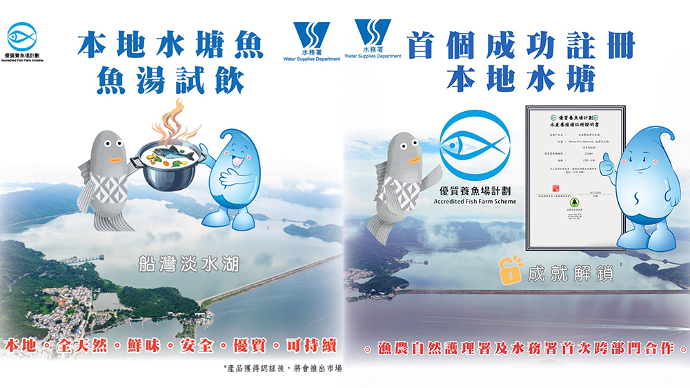 船灣淡水湖成功註冊(cè)「優(yōu)質(zhì)養(yǎng)魚場計(jì)劃」 市民可享全天然優(yōu)質(zhì)魚產(chǎn)品