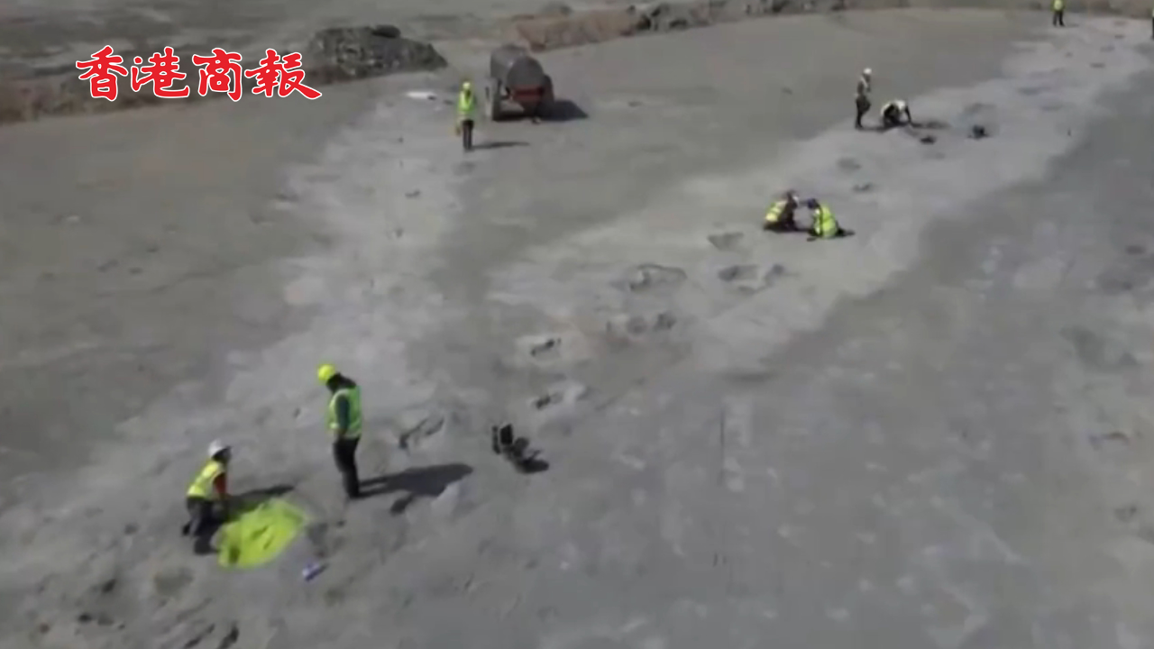 有片丨英國(guó)採(cǎi)石場(chǎng)驚現(xiàn)數(shù)百個(gè)恐龍腳?。盒纬伸都s1.66億年前