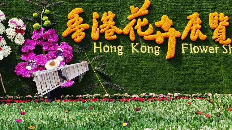 花卉展3月14至23日維園舉行 植物展品比賽現(xiàn)接受報名