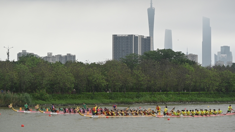 粵去年完成森林質(zhì)量精準(zhǔn)提升423萬畝