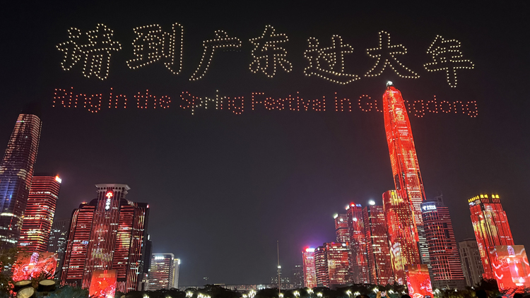 有片 | 「請(qǐng)到廣東過(guò)大年」2025年廣東文化和旅遊消費(fèi)促進(jìn)活動(dòng)在深盛大啟幕