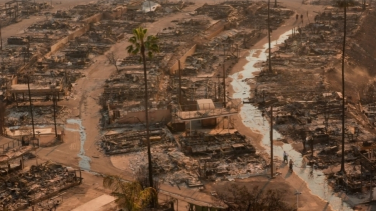 外媒：美國(guó)洛杉磯山火遇難人數(shù)升至16人