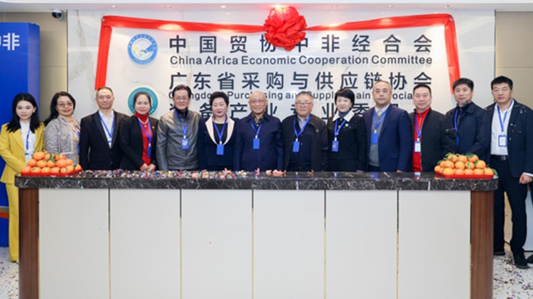 攜手並進(jìn) 創(chuàng)富中非 共築「產(chǎn)業(yè)出海」新航母