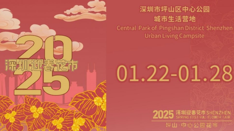巳蛇獻(xiàn)瑞 花韻坪山，2025年深圳坪山區(qū)迎春花市來(lái)啦