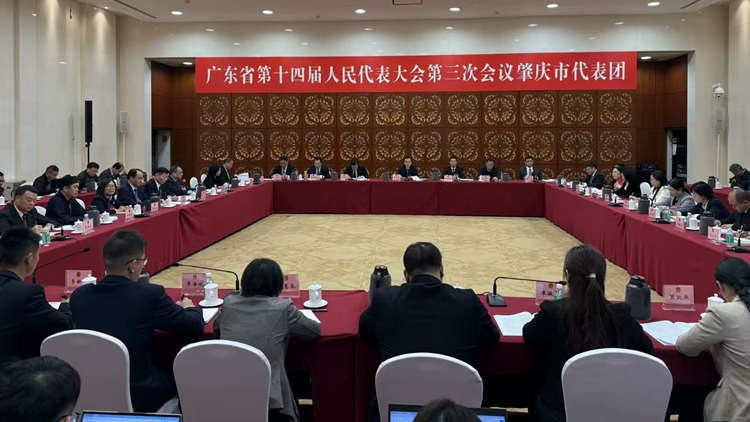 「九九」戰(zhàn)略賦能，肇慶奮進(jìn)大灣區(qū)建設(shè)潮頭