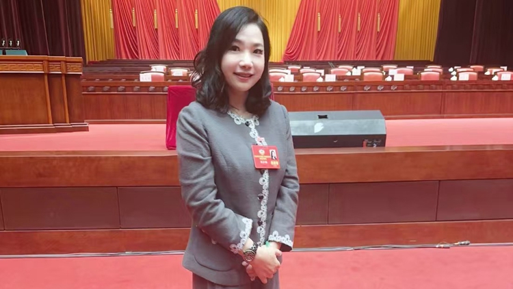 廣東兩會(huì)｜新世界CEO黃少媚：新世界布局北部都會(huì)區(qū) 積極推動(dòng)灣區(qū)融合發(fā)展