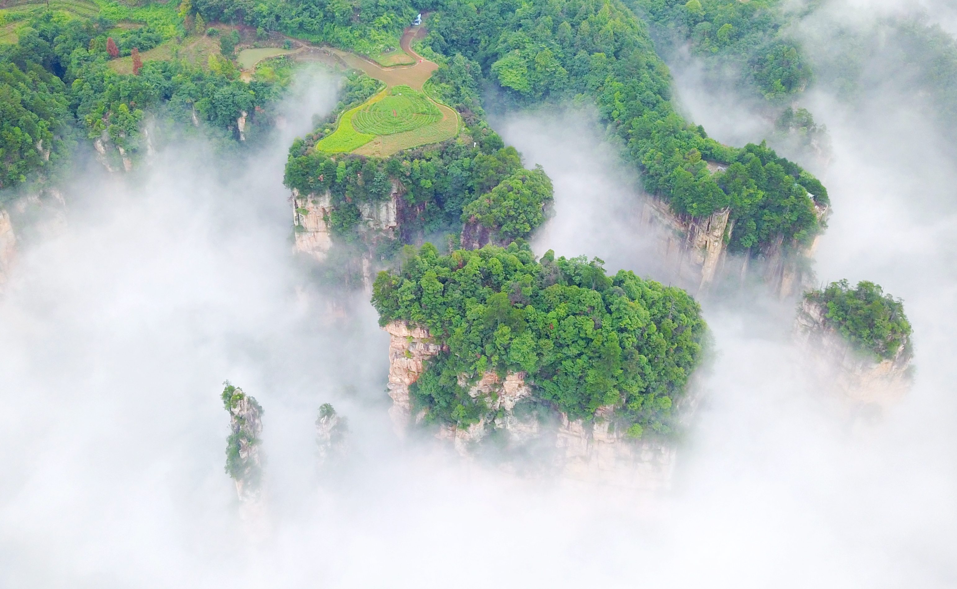 湖南9家協(xié)會(huì)發(fā)布「春節(jié)假期安全旅遊與品質(zhì)服務(wù)倡議書(shū)」