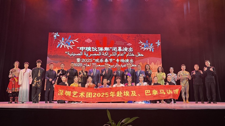 深圳藝術(shù)閃耀中埃國際交流舞臺(tái)獲讚譽(yù)