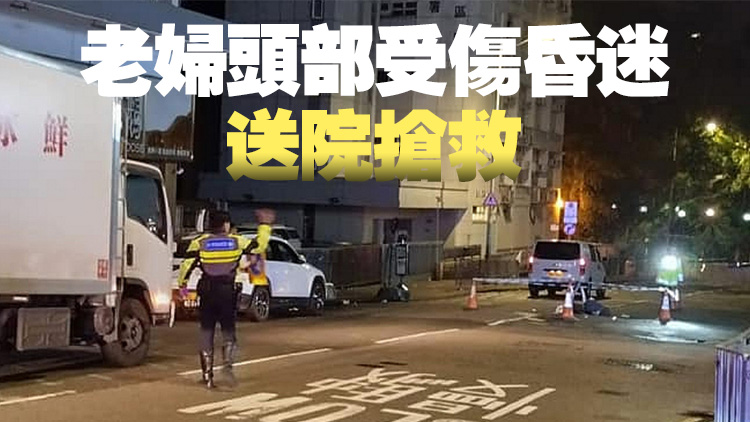 藍(lán)田啟田道客貨車撞八旬婦 司機(jī)涉危駕被捕