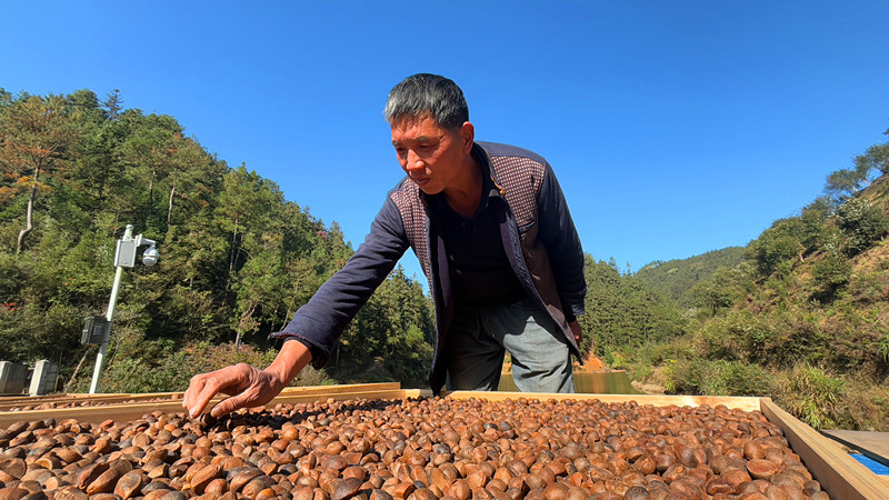 皖屯溪區(qū)：守好「兩條底線」闖出綠色新路