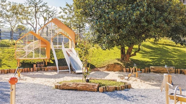 1320個！深圳公園數(shù)量又刷新了