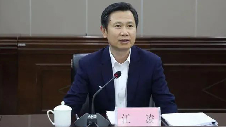 江凌當(dāng)選河南省人大常委會(huì)副主任 曾在廣東多地任職