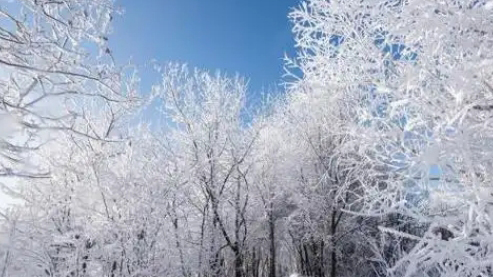 雨雪範圍或波及全國！節(jié)前大寒潮將至 春運返鄉(xiāng)需警惕