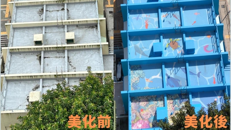 有片丨漁灣社區(qū)會堂大變身「水族館」