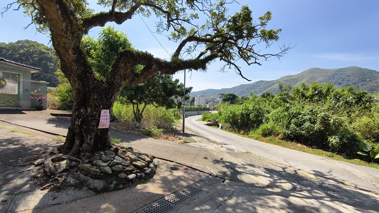 沙頭角蓮麻坑村附近邊境禁區(qū)路段開放 乘坐專營小巴通過無需申請通行證