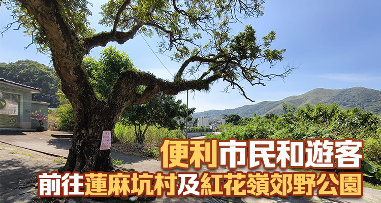 沙頭角蓮麻坑村附近邊境禁區(qū)路段開放 乘坐專營(yíng)小巴通過無需申請(qǐng)通行證