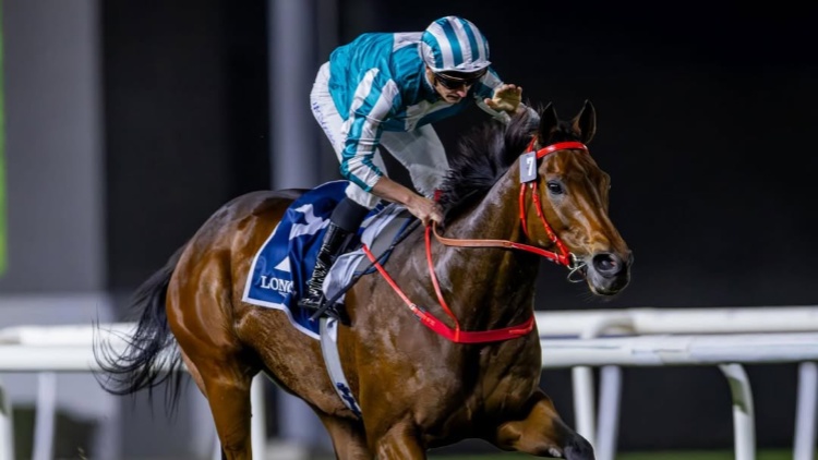 有片｜輕勝傑貝哈特錦標(biāo) 浪漫勇士盡顯王風(fēng)