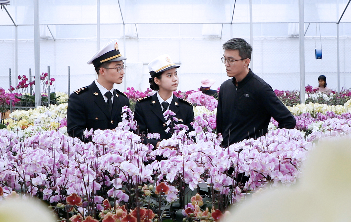 馨香連三地， 珠海年花首次線上銷售直供港澳