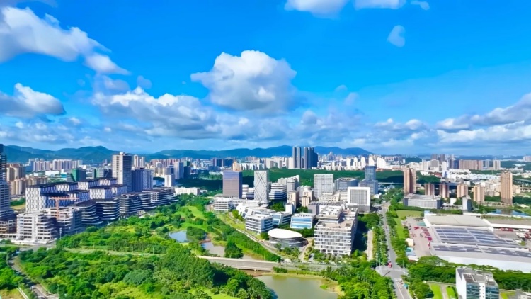 GDP增長(zhǎng)9%！工業(yè)硬核擔(dān)當(dāng)！深圳坪山  交出2024年高質(zhì)量發(fā)展答卷