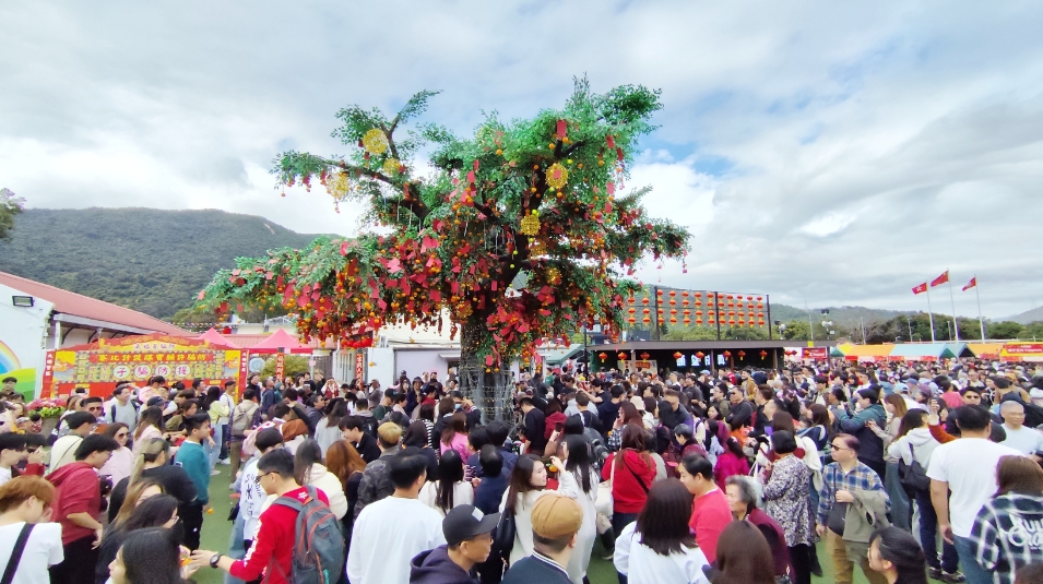 有片丨拋寶牒許願(yuàn)祈福 大埔林村許願(yuàn)樹(shù)廣場(chǎng)人山人海