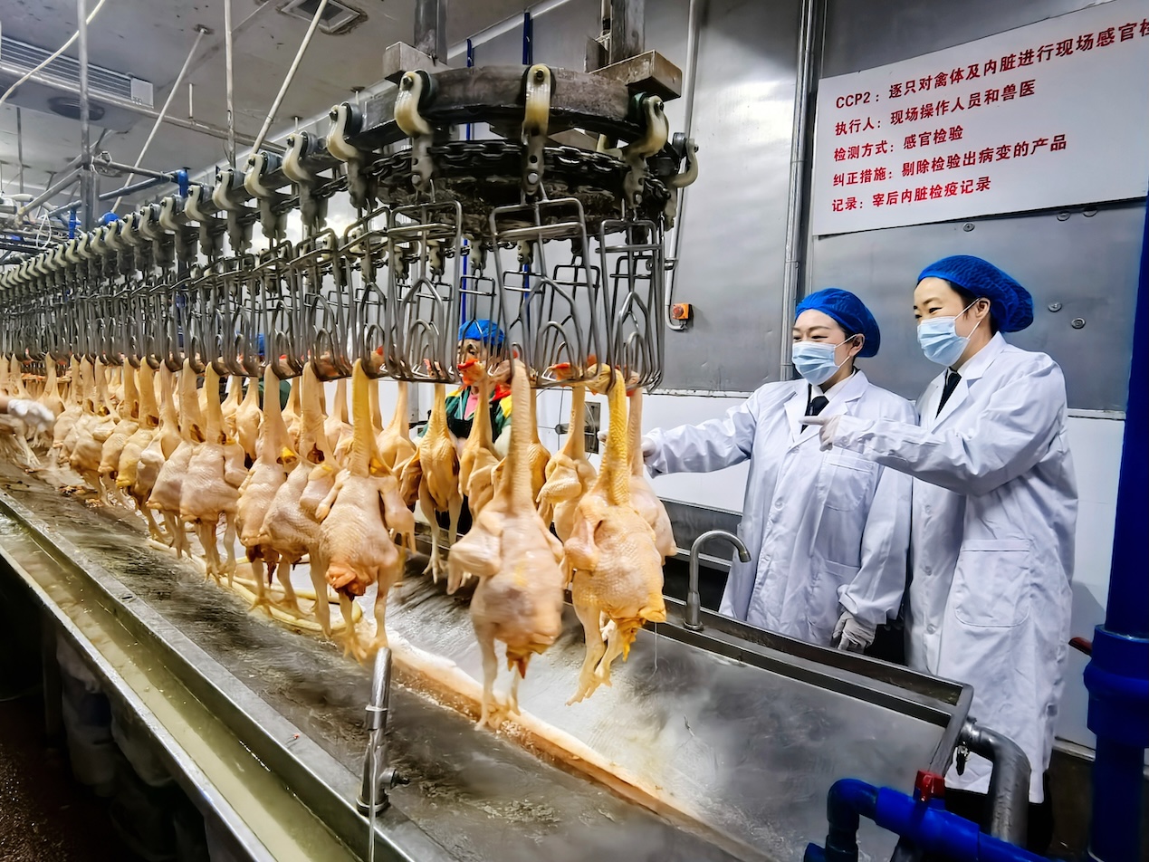 紮好港澳居民「菜籃子」 廣州海關(guān)保障春節(jié)期間農(nóng)食產(chǎn)品穩(wěn)定供應(yīng)港澳地區(qū)