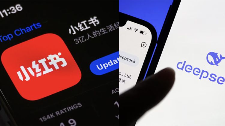 全美第一個(gè) 得州封殺DeepSeek和小紅書(shū)