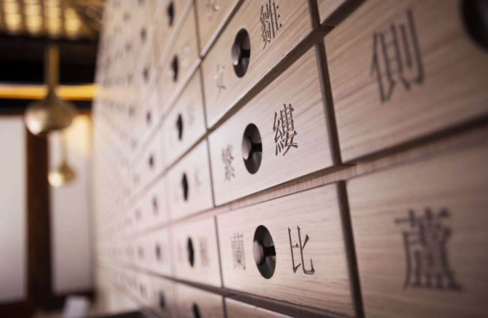 【計出新角度】蛇經(jīng)濟(jì)