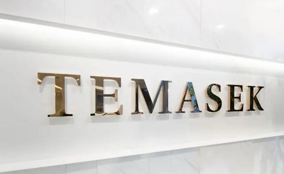 印尼批準(zhǔn)成立超級(jí)投資機(jī)構(gòu)   打造「印尼版淡馬錫」