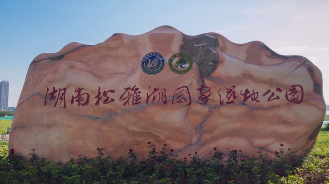 《長沙一分鐘》帶您賞春態(tài)婀娜 聽松雅湖畔春之聲 看生態(tài)綠核潤城郭